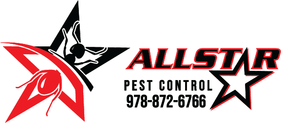 Local Pest Control Company | Pest Control Services in Haverhill & Beverly,  MA | All Star Pest Control